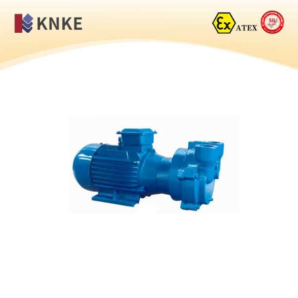 Water Ring Vacuum Pump