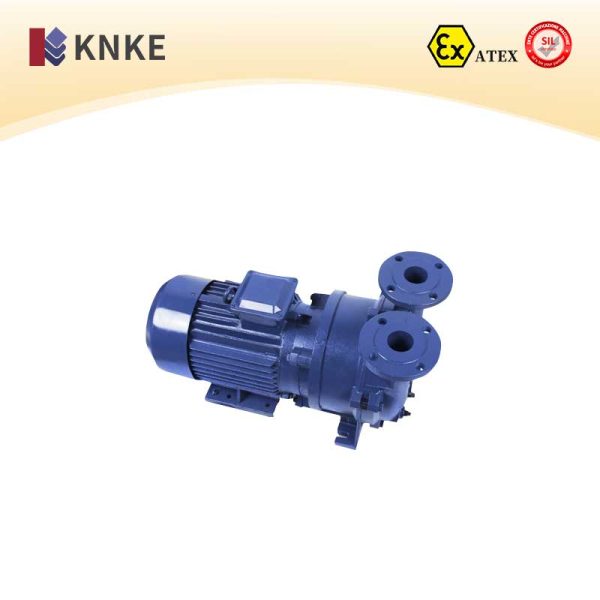Water Ring Vacuum Pump
