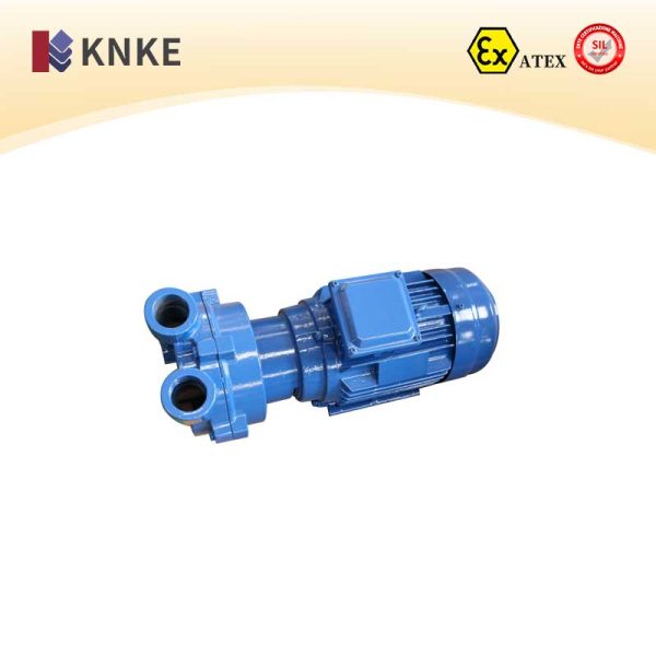 Water Ring Vacuum Pump