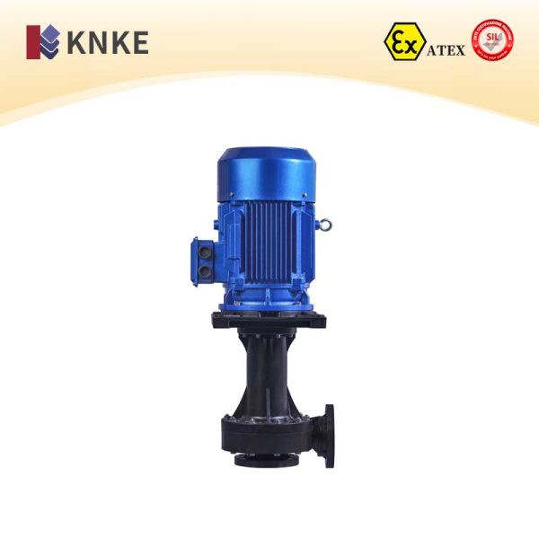 Fluoroplastic Pump