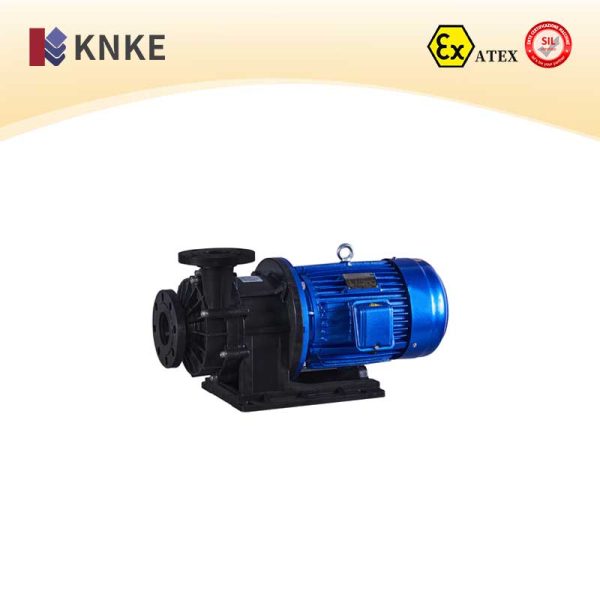 Fluoroplastic Pump