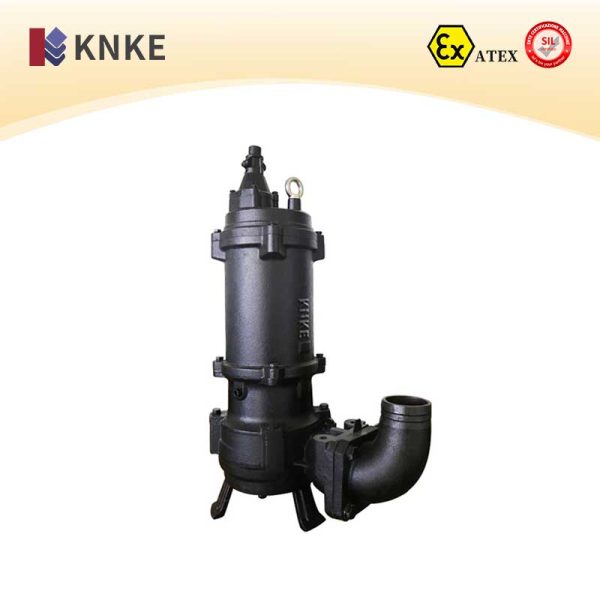 Vertical Sewage Pump