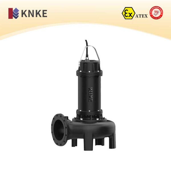 Vertical Sewage Pump