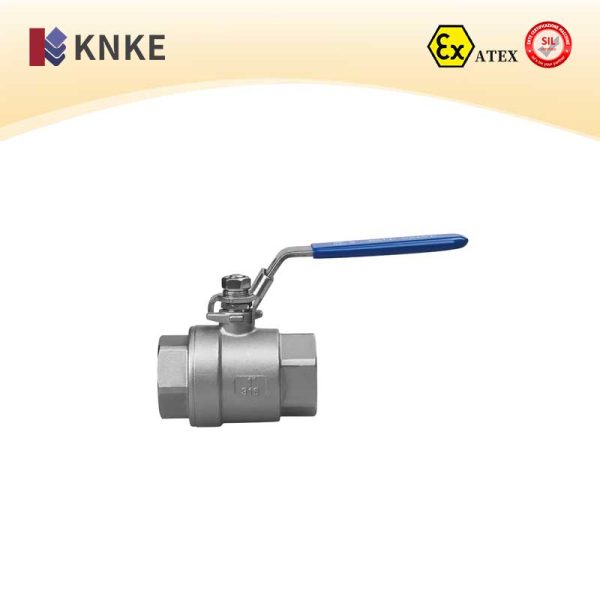 Integrated Ball Valve