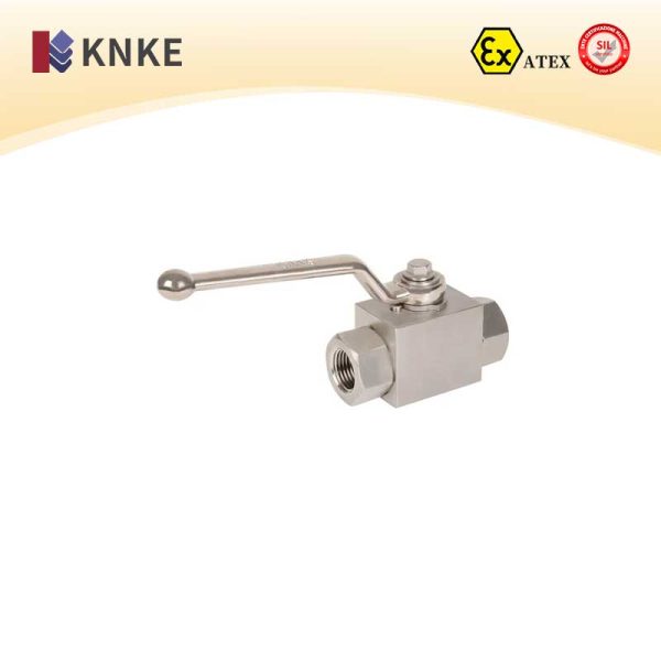 Integrated Ball Valve