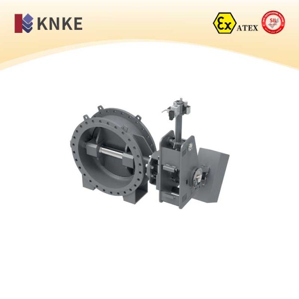 Customizable Large-Diameter Butterfly Valve